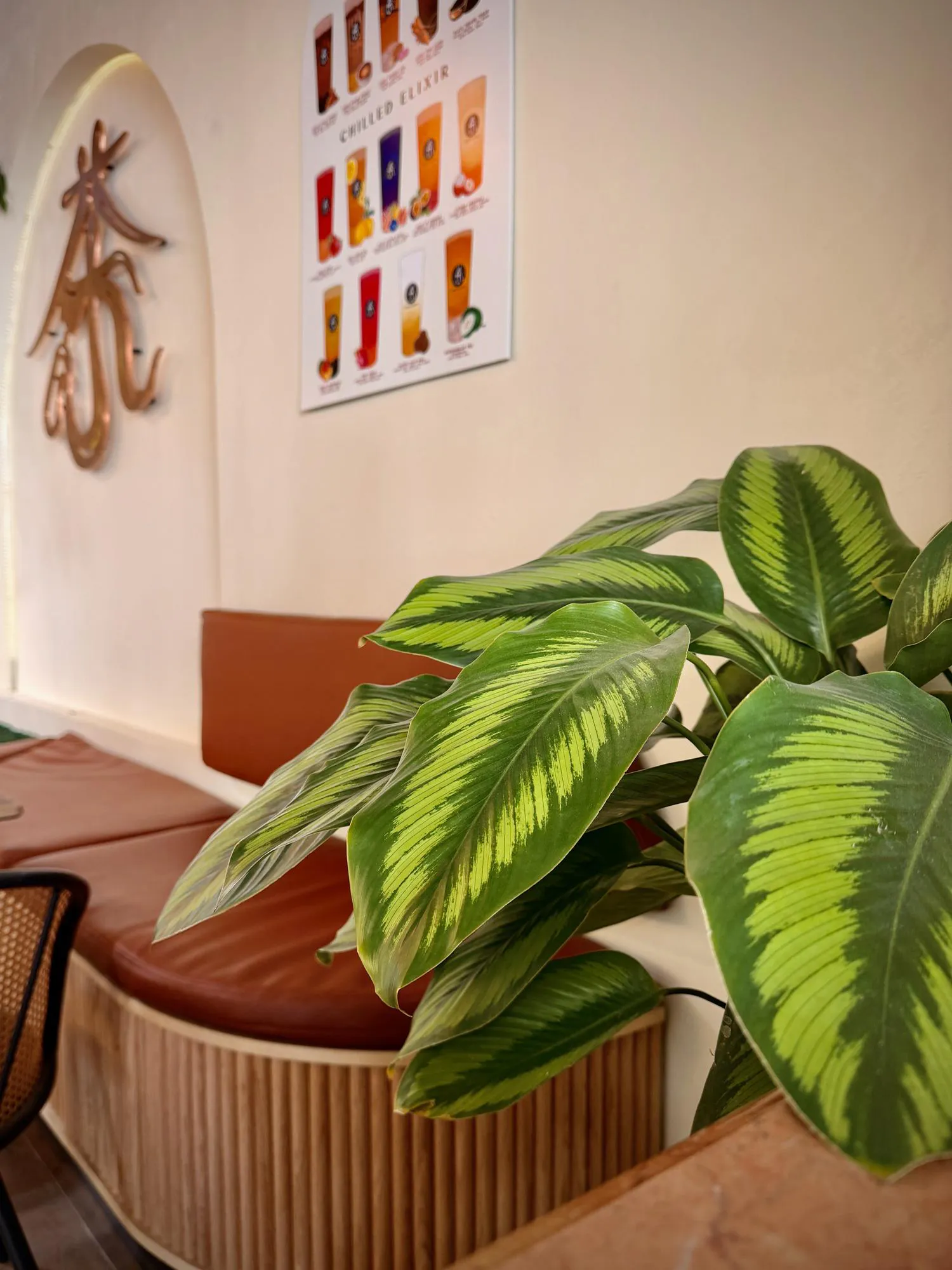 Modern Tea Shop Seating Area with Decorative Indoor Plants and Cozy Curved Bench Seating